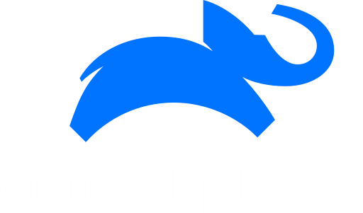 Animal Planet